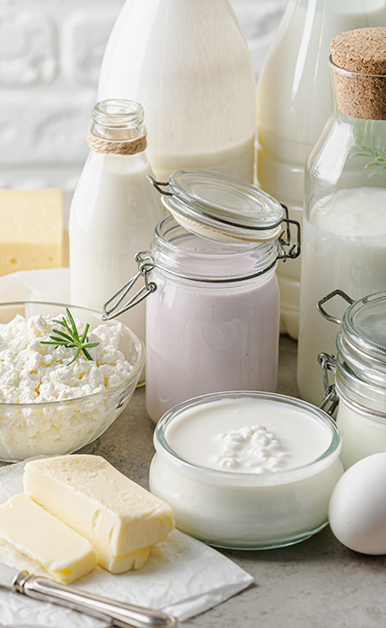Milk & Dairy Products